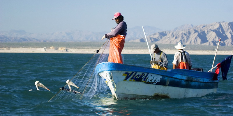 San Felipe fishermen (© Chris Johnson @earthocean)